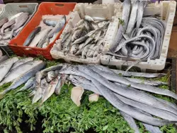 تجار الأسماك بالتقسيط بمراكش ينتفضون: "الشناقة قهرونا"